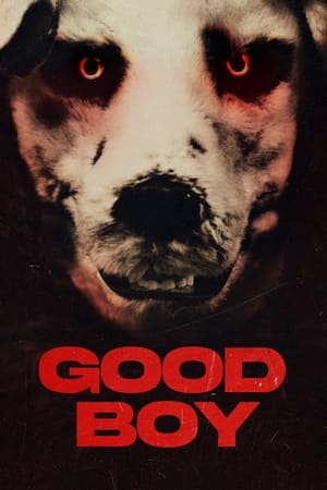 UWatchFree Good Boy 2022 Hindi+English Full Movie BluRay 480p 720p 1080p Download