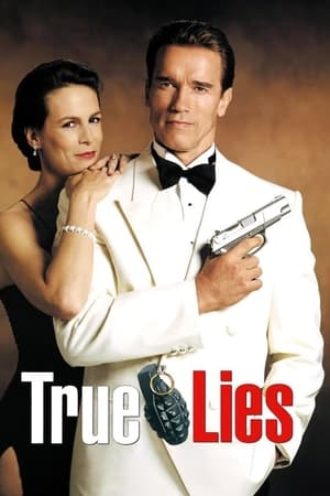 UWatchFree True Lies 1994 Hindi+English Full Movie WEB-DL 480p 720p 1080p Download